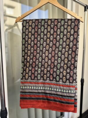 Tussar Kantha Saree